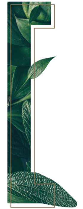 framedireita