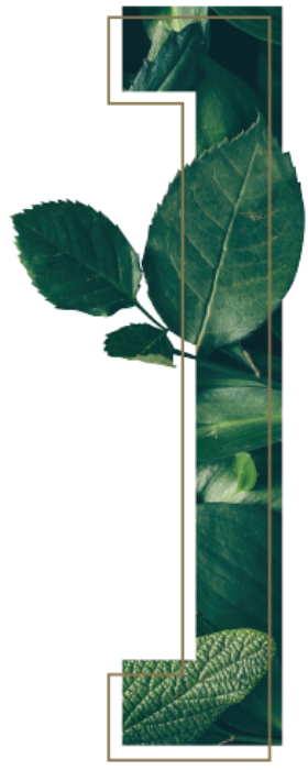 frameesquerda